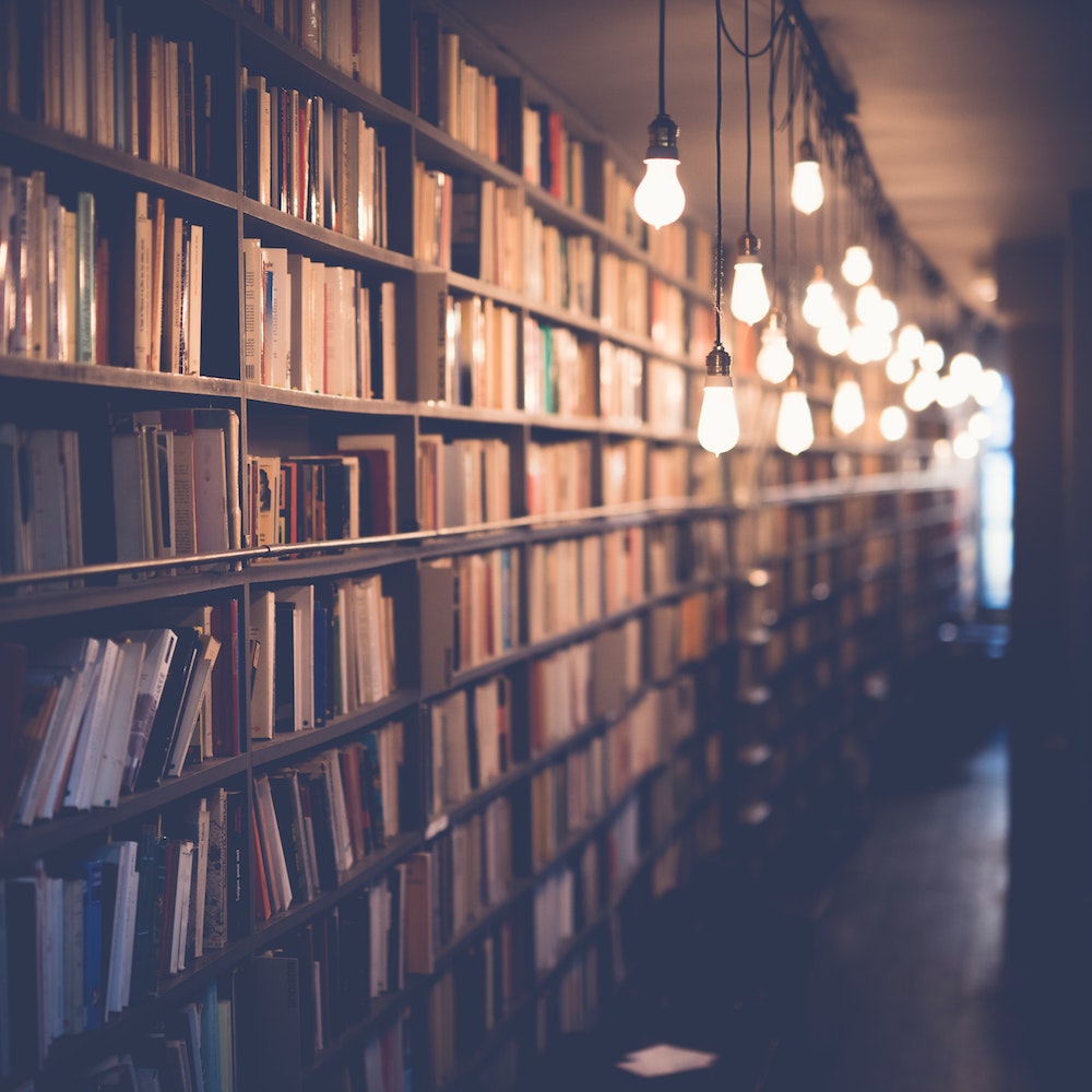 Our Summer Favorites: Nachhaltige Buch- und Doku-Tipps